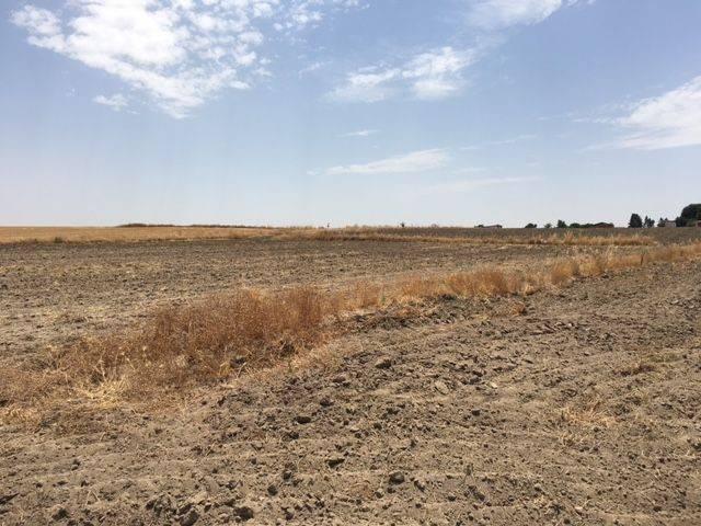 Terreno en venta en Cedillo Del Condado, Toledo