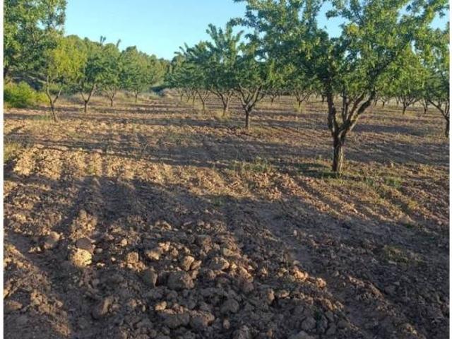 Terreno en venta en Cehegín, Región de Murcia