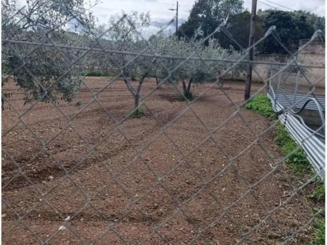 Terreno en venta en Noroeste, Murcia