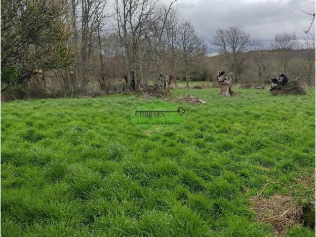 Terreno en venta en Terra da Celanova, Galicia