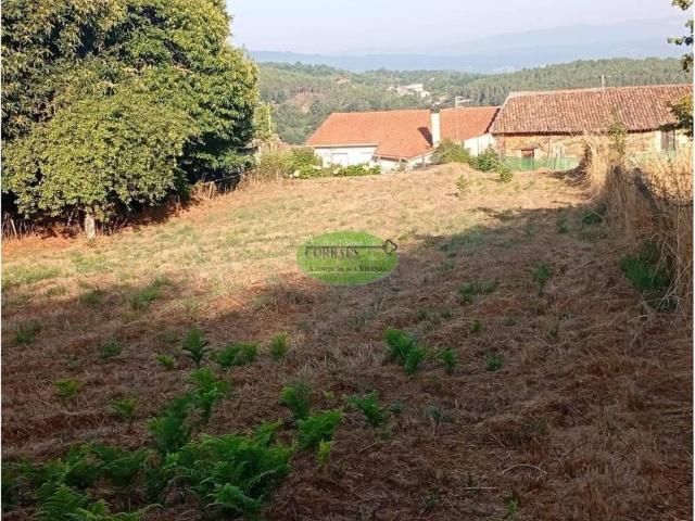 Terreno en venta en Terra da Celanova, Galicia
