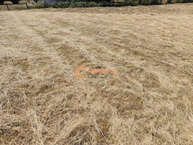 Terreno en venta en Terra da Celanova, Galicia