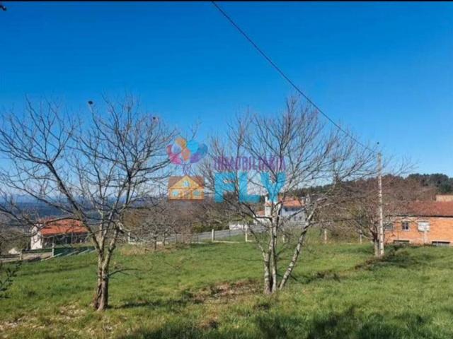 Terreno en venta en Celanova