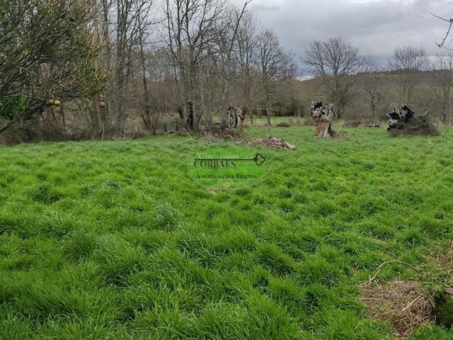 Terreno en venta en Celanova