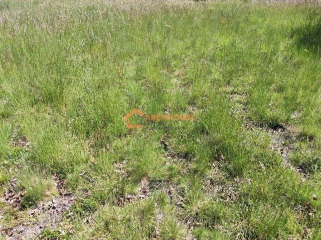 Terreno en venta en Terra da Celanova, Galicia