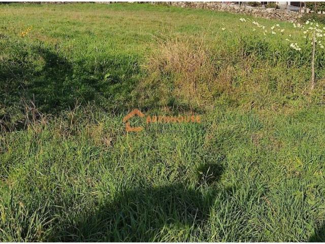 Terreno en venta en Terra da Celanova, Galicia