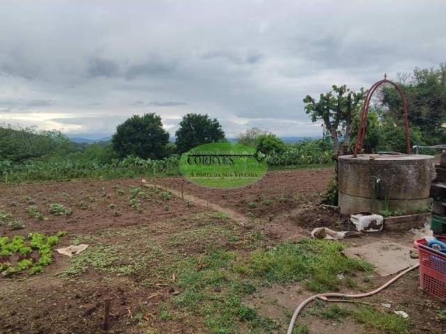 Terreno en venta en Terra da Celanova, Galicia