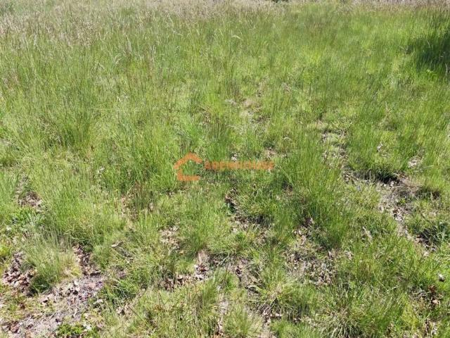 Terreno en venta en A Bola, Ourense