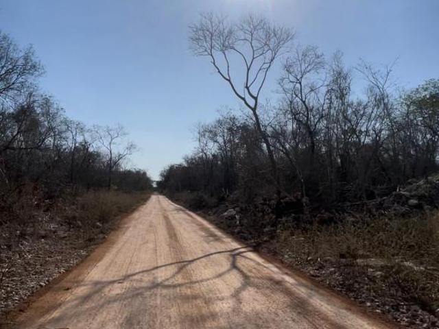 Terreno en Venta en Celestun!