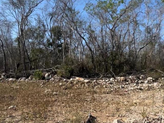Terreno en Venta en Celestun!