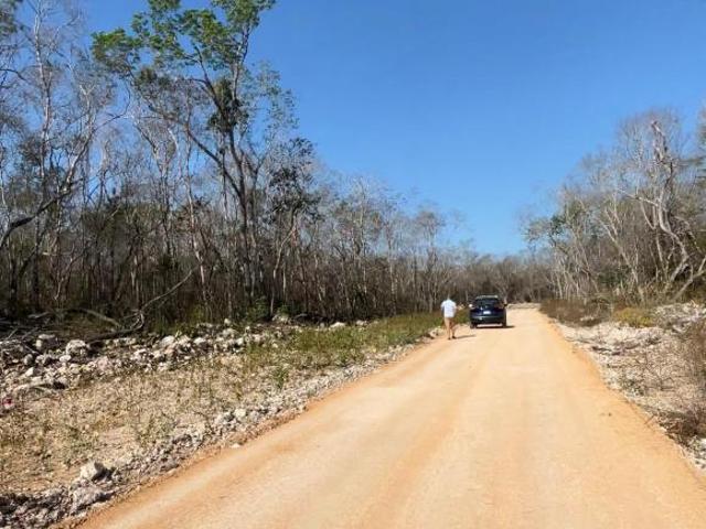 Terreno en Venta en Celestun!