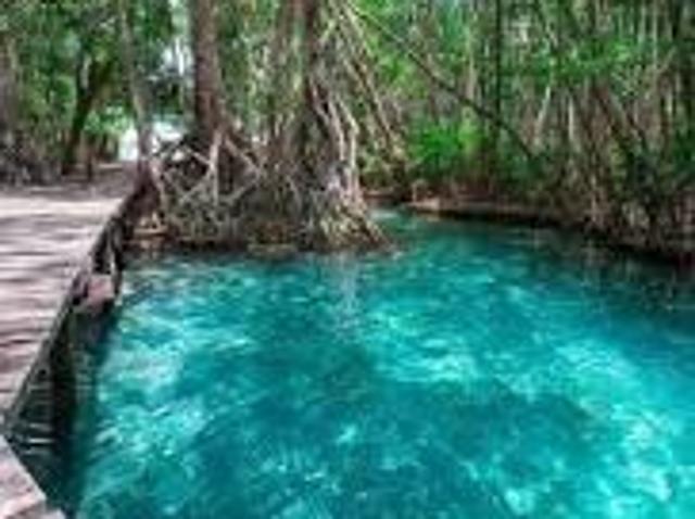 Terreno en venta en Celestún, Yucatán