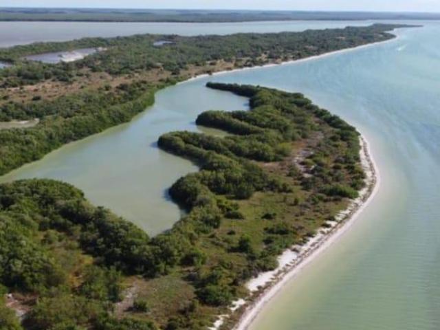 TERRENO EN VENTA EN CELESTUN A ORILLA DE LA PLAYA