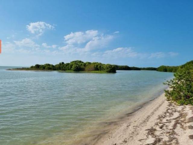 TERRENO EN VENTA EN CELESTUN A ORILLA DE LA PLAYA