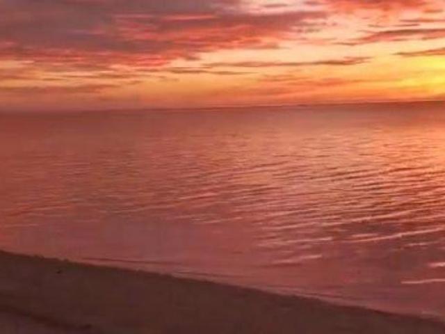 TERRENO EN VENTA EN CELESTUN A ORILLA DE LA PLAYA