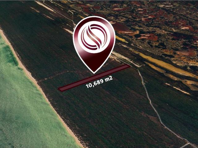 Terreno en venta en Celestún