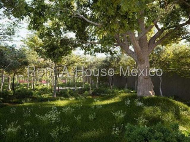 Terreno en Venta en Celestun Pueblo, Celestun MY 25 2656