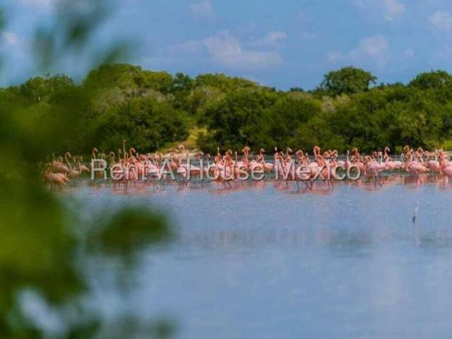 Terreno en Venta en Celestun Pueblo, Celestun MY 25 2656