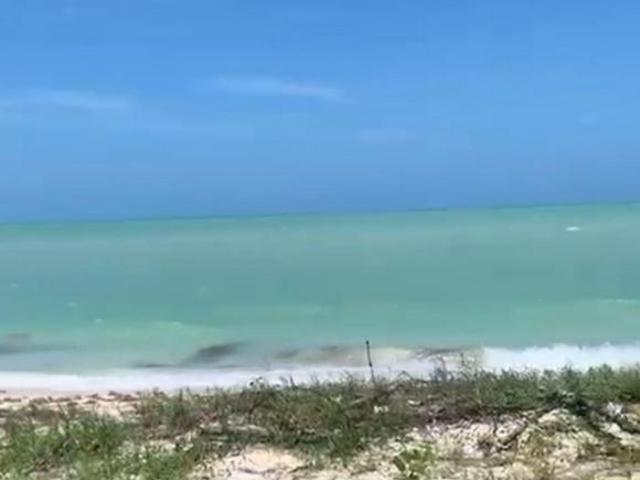 Terreno en venta en Celestún, Yucatán