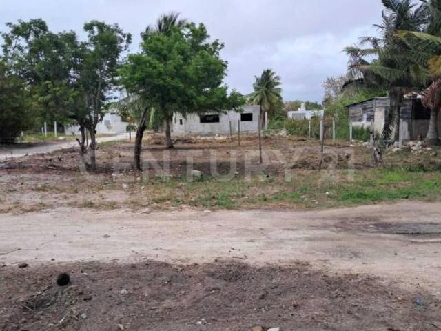 Terreno en venta en Celestún, Yucatán