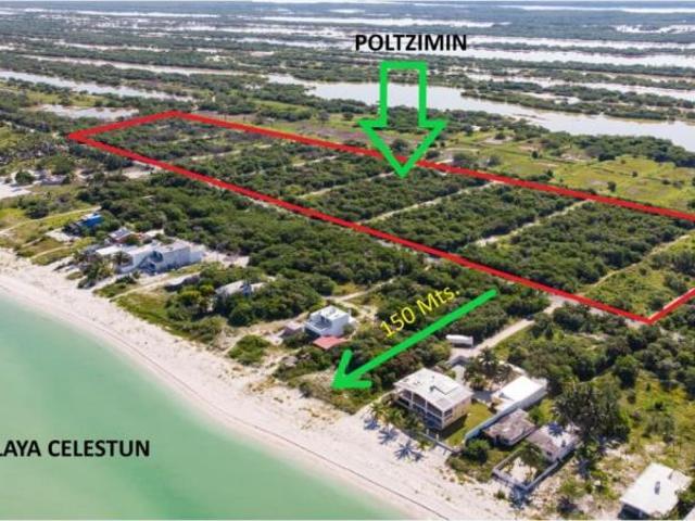 Terreno en venta en Celestún