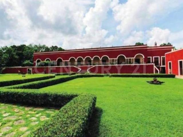 Terreno en Venta en Celestún, Yucatán