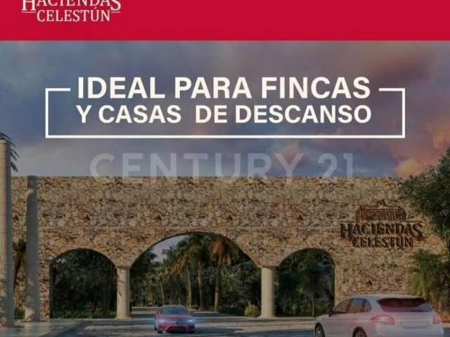Terreno en Venta en Celestún, Yucatán
