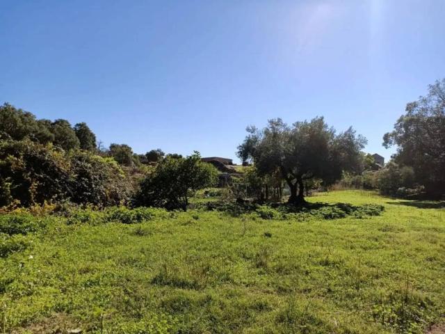 Terreno en venta en Cenicientos, Madrid