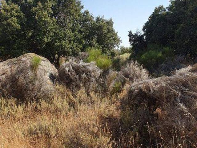 Terreno en venta en Cenicientos
