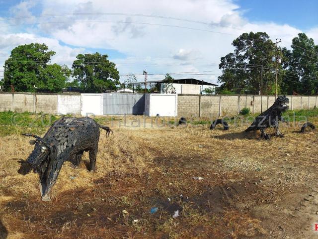 Propiedad en venta en Guasdualito, Apure