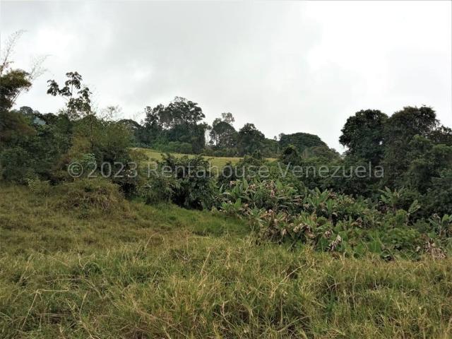 Propiedad en venta en La Azulita, Mérida