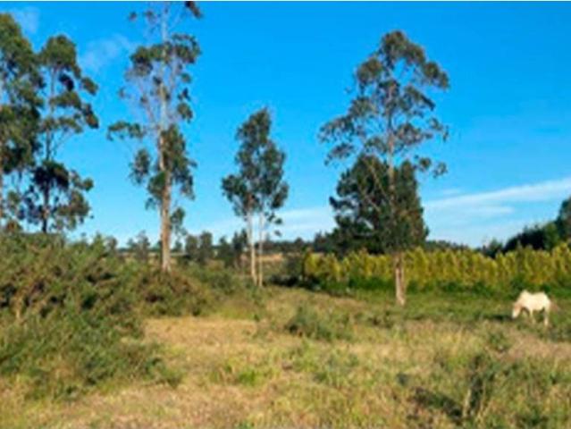 Terreno en venta en Cerceda, A Coruña