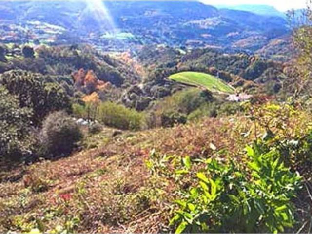 Terreno en venta en Cercedilla, Madrid