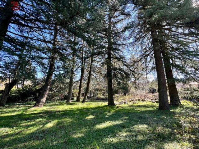 Terreno en venta en Cercedilla, Madrid