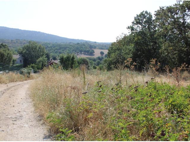 Terreno en venta en Cercedilla, Comunidad de Madrid
