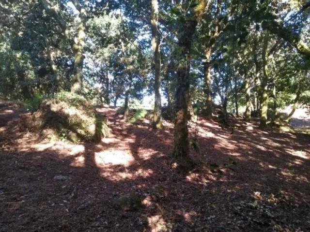 Terreno en venta en Cerdedo Cotobade, Tabeirós - Terra de Montes