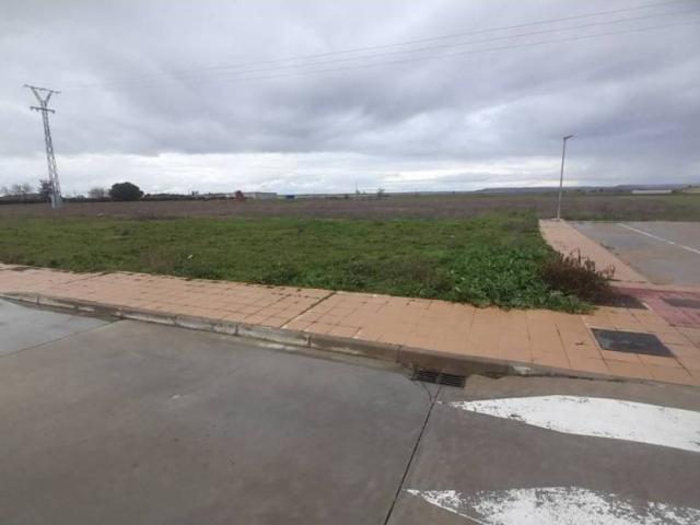 Terreno en venta en Cerecinos Del Carrizal, Castilla y León