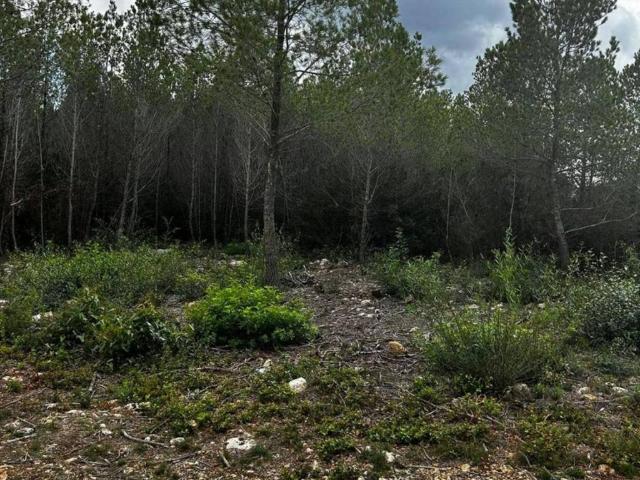 Terreno en venta en Cervelló