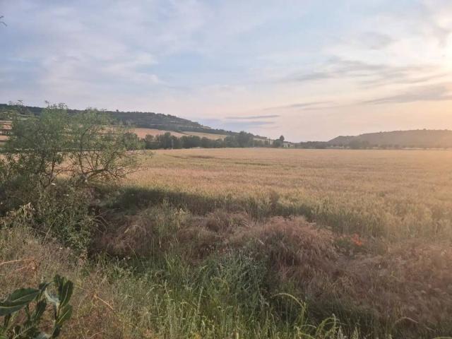 Terreno en venta en Segarra, Catalunya