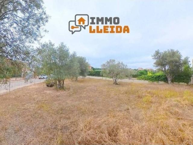 Terreno en venta en Cervera, Segarra
