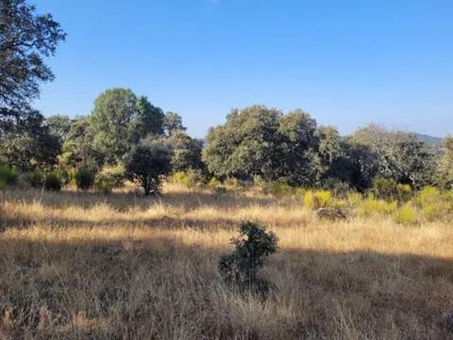 Terreno en venta en Cervera De Los Montes, Castilla-La Mancha