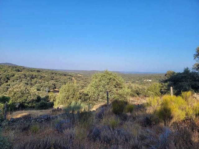 Terreno en venta en Cervera De Los Montes