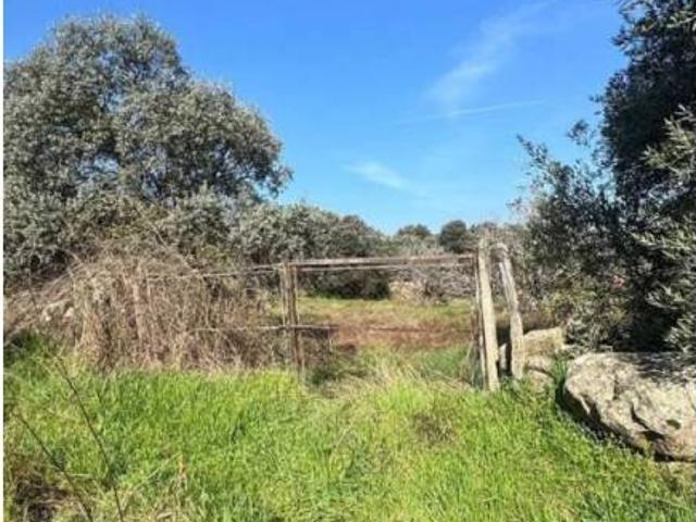 Terreno en venta en Cervera De Los Montes, Castilla-La Mancha