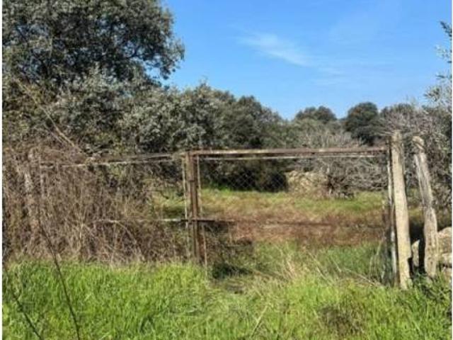 Terreno en venta en Cervera De Los Montes, Castilla-La Mancha