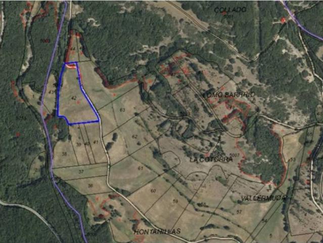 Terreno en venta en Cervera De Pisuerga, Castilla y León
