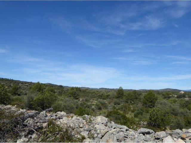 Terreno en venta en el Baix Maestrat, Valencia