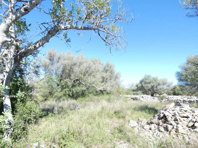 Terreno en venta en el Baix Maestrat, Valencia