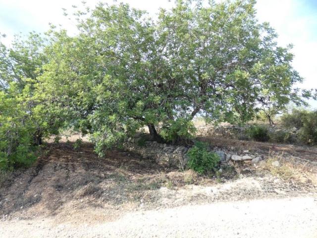 Terreno en venta en el Baix Maestrat, Valencia