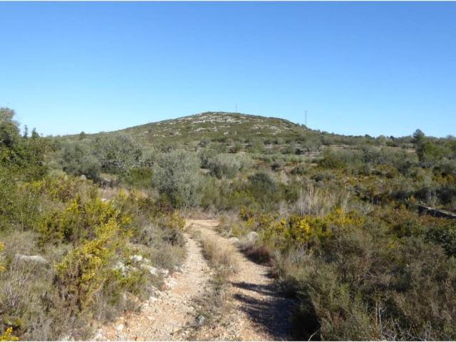 Terreno en venta en el Baix Maestrat, Valencia
