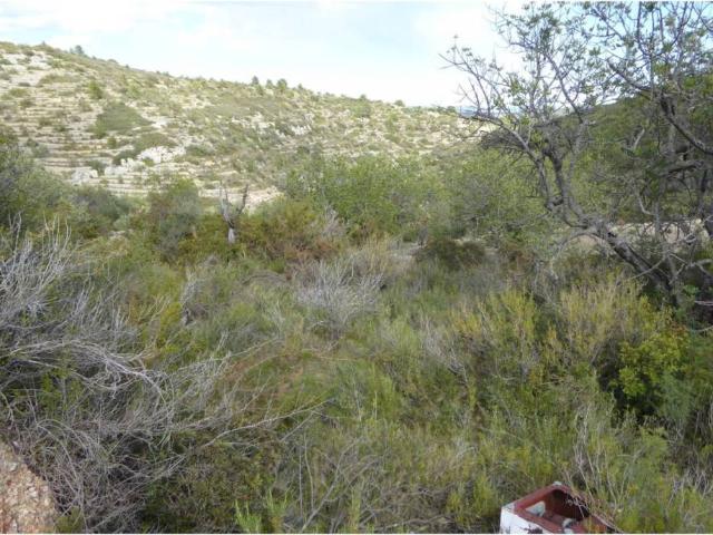 Terreno en venta en el Baix Maestrat, Valencia